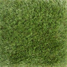 Realistic Artificial Grass