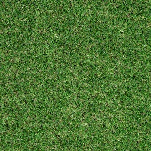 Artificial grass 37mm ackee - artificial,