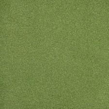 Aloe 18mm Putting Green