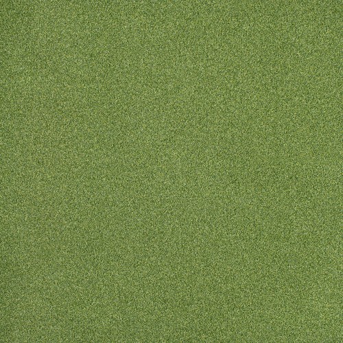 Aloe 18mm putting green - aloe,