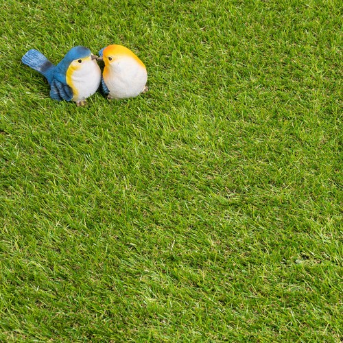 Artificial grass 30mm 5m - grass, 2m